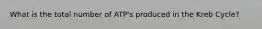 What is the total number of ATP's produced in the Kreb Cycle?