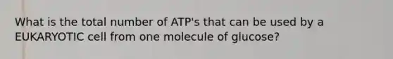 What is the total number of ATP's that can be used by a EUKARYOTIC cell from one molecule of glucose?