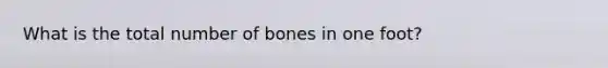 What is the total number of bones in one foot?