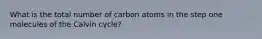 What is the total number of carbon atoms in the step one molecules of the Calvin cycle?