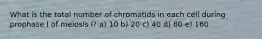 What is the total number of chromatids in each cell during prophase I of meiosis I? a) 10 b) 20 c) 40 d) 80 e) 160