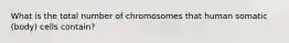 What is the total number of chromosomes that human somatic (body) cells contain?