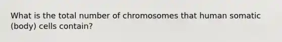 What is the total number of chromosomes that human somatic (body) cells contain?