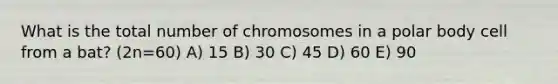 What is the total number of chromosomes in a polar body cell from a bat? (2n=60) A) 15 B) 30 C) 45 D) 60 E) 90