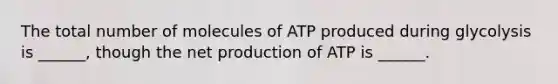 The total number of molecules of ATP produced during glycolysis is ______, though the net production of ATP is ______.