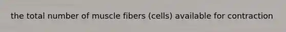 the total number of muscle fibers (cells) available for contraction