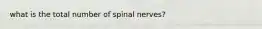 what is the total number of spinal nerves?