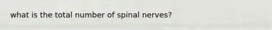 what is the total number of spinal nerves?