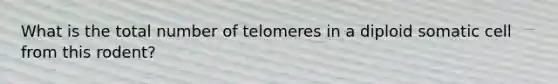 What is the total number of telomeres in a diploid somatic cell from this rodent?