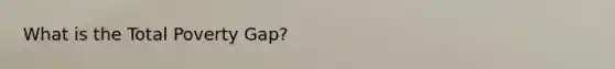 What is the Total Poverty Gap?