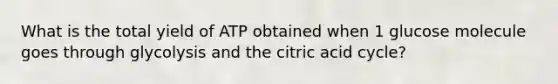 What is the total yield of ATP obtained when 1 glucose molecule goes through glycolysis and the citric acid cycle?