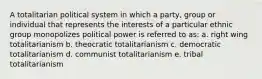 A totalitarian political system in which a party, group or individual that represents the interests of a particular ethnic group monopolizes political power is referred to as: a. right wing totalitarianism b. theocratic totalitarianism c. democratic totalitarianism d. communist totalitarianism e. tribal totalitarianism