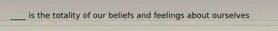 ____ is the totality of our beliefs and feelings about ourselves