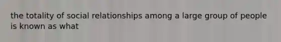 the totality of social relationships among a large group of people is known as what