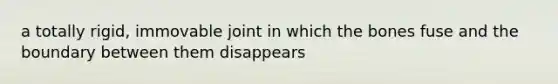 a totally rigid, immovable joint in which the bones fuse and the boundary between them disappears