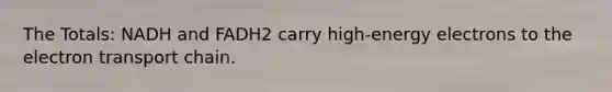 The Totals: NADH and FADH2 carry high-energy electrons to the electron transport chain.