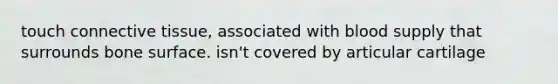 touch connective tissue, associated with blood supply that surrounds bone surface. isn't covered by articular cartilage