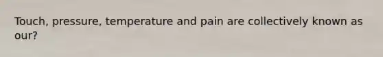 Touch, pressure, temperature and pain are collectively known as our?