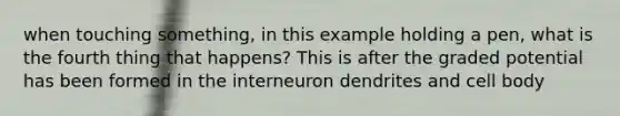 when touching something, in this example holding a pen, what is the fourth thing that happens? This is after the graded potential has been formed in the interneuron dendrites and cell body