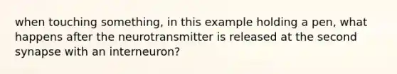 when touching something, in this example holding a pen, what happens after the neurotransmitter is released at the second synapse with an interneuron?