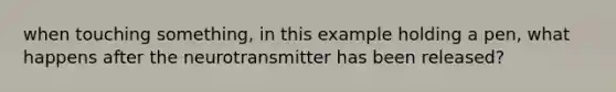 when touching something, in this example holding a pen, what happens after the neurotransmitter has been released?