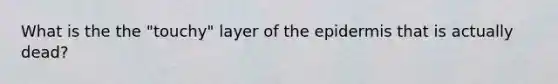 What is the the "touchy" layer of the epidermis that is actually dead?