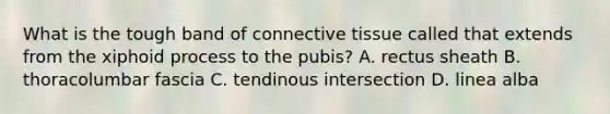 What is the tough band of connective tissue called that extends from the xiphoid process to the pubis? A. rectus sheath B. thoracolumbar fascia C. tendinous intersection D. linea alba