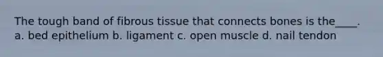 The tough band of fibrous tissue that connects bones is the____. a. bed epithelium b. ligament c. open muscle d. nail tendon