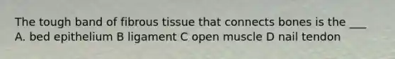 The tough band of fibrous tissue that connects bones is the ___ A. bed epithelium B ligament C open muscle D nail tendon