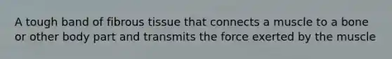 A tough band of fibrous tissue that connects a muscle to a bone or other body part and transmits the force exerted by the muscle