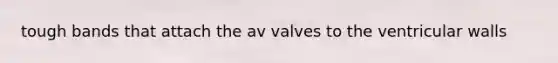 tough bands that attach the av valves to the ventricular walls