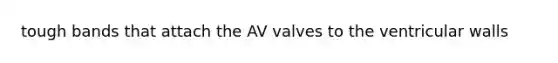 tough bands that attach the AV valves to the ventricular walls