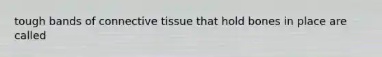 tough bands of connective tissue that hold bones in place are called