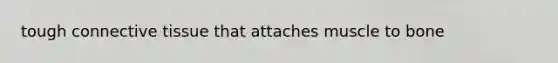 tough connective tissue that attaches muscle to bone
