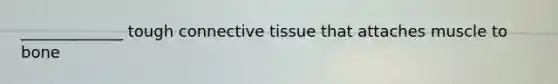 _____________ tough connective tissue that attaches muscle to bone