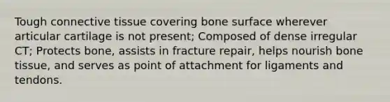 Tough connective tissue covering bone surface wherever articular cartilage is not present; Composed of dense irregular CT; Protects bone, assists in fracture repair, helps nourish bone tissue, and serves as point of attachment for ligaments and tendons.