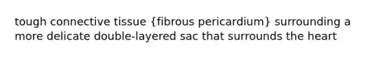 tough connective tissue (fibrous pericardium) surrounding a more delicate double-layered sac that surrounds the heart
