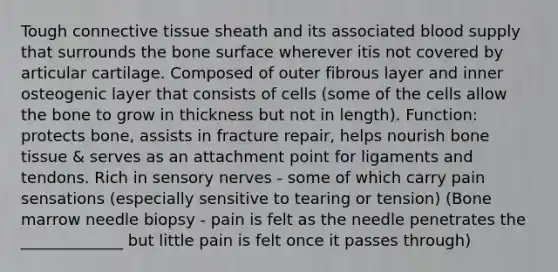 Tough connective tissue sheath and its associated blood supply that surrounds the bone surface wherever itis not covered by articular cartilage. Composed of outer fibrous layer and inner osteogenic layer that consists of cells (some of the cells allow the bone to grow in thickness but not in length). Function: protects bone, assists in fracture repair, helps nourish bone tissue & serves as an attachment point for ligaments and tendons. Rich in sensory nerves - some of which carry pain sensations (especially sensitive to tearing or tension) (Bone marrow needle biopsy - pain is felt as the needle penetrates the _____________ but little pain is felt once it passes through)