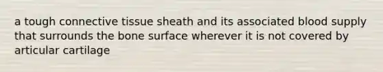 a tough connective tissue sheath and its associated blood supply that surrounds the bone surface wherever it is not covered by articular cartilage