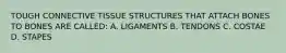 TOUGH CONNECTIVE TISSUE STRUCTURES THAT ATTACH BONES TO BONES ARE CALLED: A. LIGAMENTS B. TENDONS C. COSTAE D. STAPES