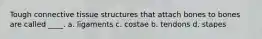 Tough connective tissue structures that attach bones to bones are called ____. a. ligaments c. costae b. tendons d. stapes