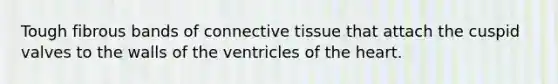 Tough fibrous bands of connective tissue that attach the cuspid valves to the walls of the ventricles of the heart.