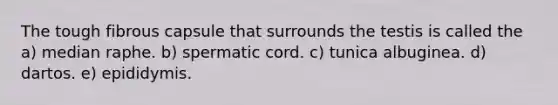 The tough fibrous capsule that surrounds the testis is called the a) median raphe. b) spermatic cord. c) tunica albuginea. d) dartos. e) epididymis.