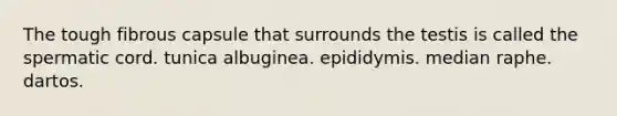 The tough fibrous capsule that surrounds the testis is called the spermatic cord. tunica albuginea. epididymis. median raphe. dartos.