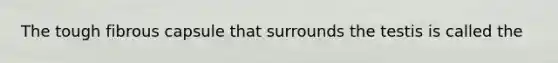 The tough fibrous capsule that surrounds the testis is called the