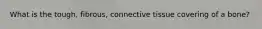 What is the tough, fibrous, connective tissue covering of a bone?