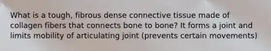 What is a tough, fibrous dense connective tissue made of collagen fibers that connects bone to bone? It forms a joint and limits mobility of articulating joint (prevents certain movements)