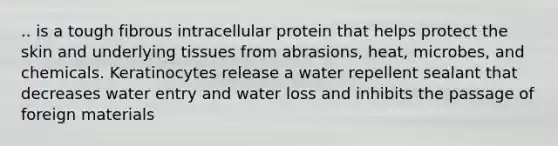 .. is a tough fibrous intracellular protein that helps protect the skin and underlying tissues from abrasions, heat, microbes, and chemicals. Keratinocytes release a water repellent sealant that decreases water entry and water loss and inhibits the passage of foreign materials