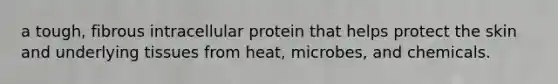 a tough, fibrous intracellular protein that helps protect the skin and underlying tissues from heat, microbes, and chemicals.