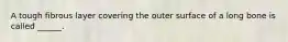A tough fibrous layer covering the outer surface of a long bone is called ______.